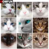 HOMFUN 3D Diamond Painting 